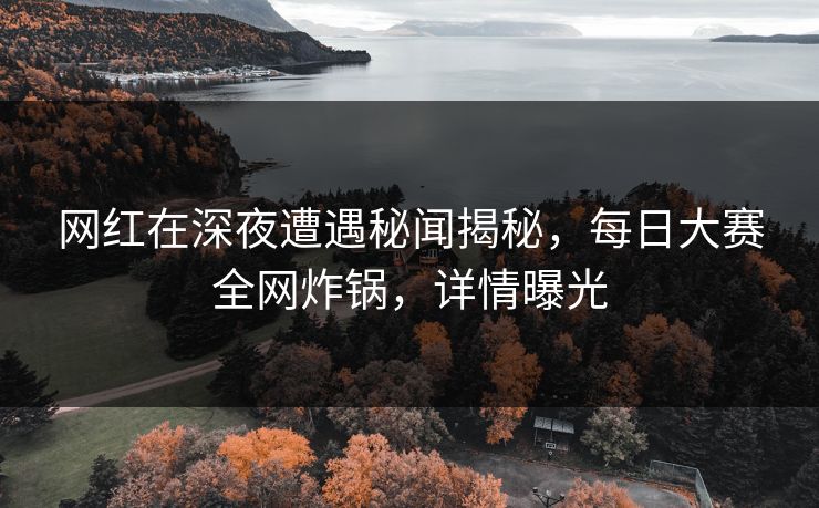网红在深夜遭遇秘闻揭秘，每日大赛全网炸锅，详情曝光