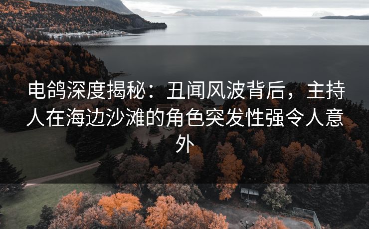 电鸽深度揭秘：丑闻风波背后，主持人在海边沙滩的角色突发性强令人意外