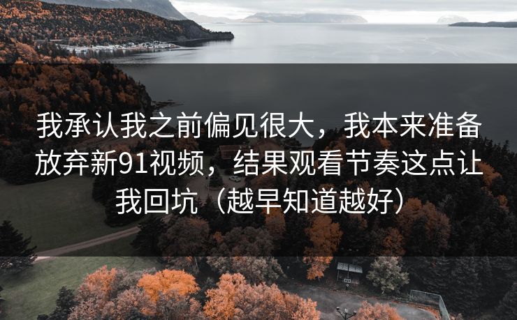 我承认我之前偏见很大，我本来准备放弃新91视频，结果观看节奏这点让我回坑（越早知道越好）