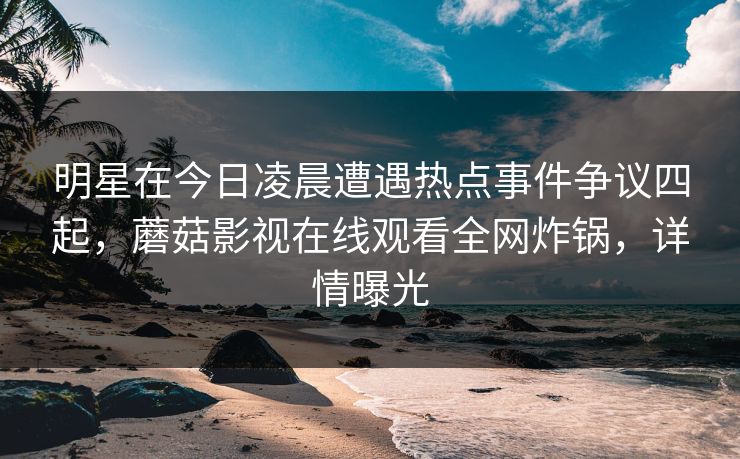 明星在今日凌晨遭遇热点事件争议四起，蘑菇影视在线观看全网炸锅，详情曝光